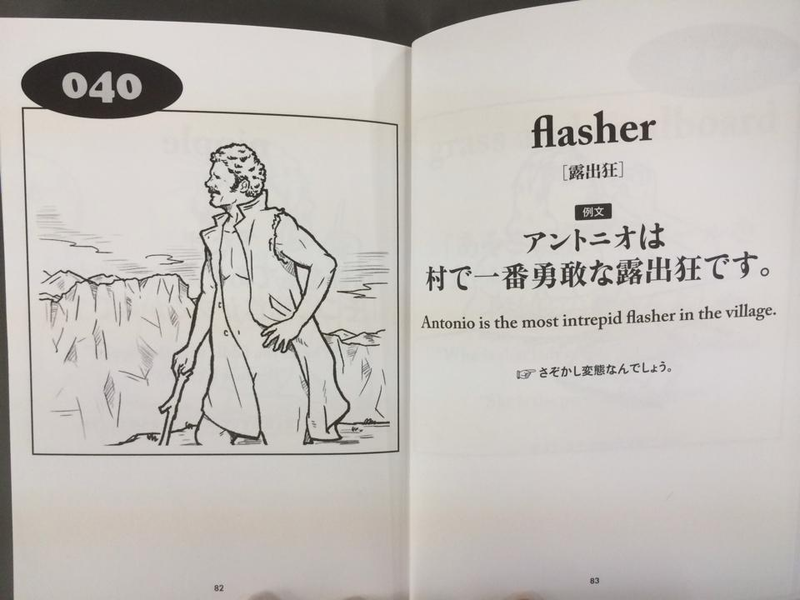 Illustration for article titled Hope You Haven't Had Enough of Japan's Oddest English Book